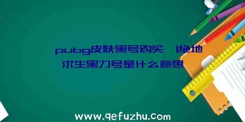 「pubg皮肤黑号购买」|绝地求生黑刀号是什么意思